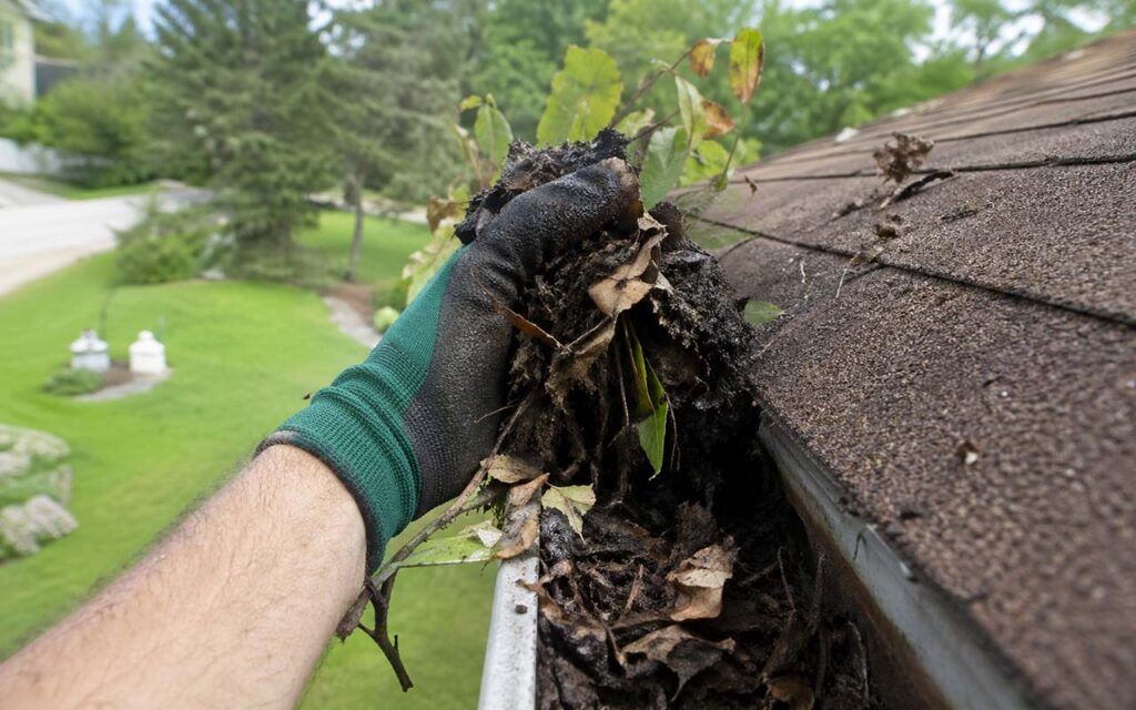 Gutter Cleaning Nashville Tennessee